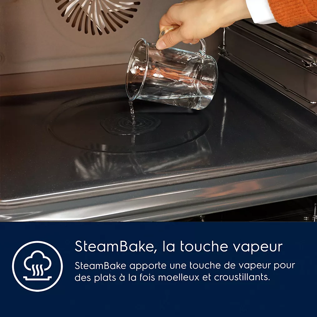 Four Pyro ELECTROLUX EOD6P67WH SteamBake - Image 13